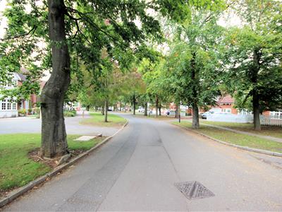 Picture 16